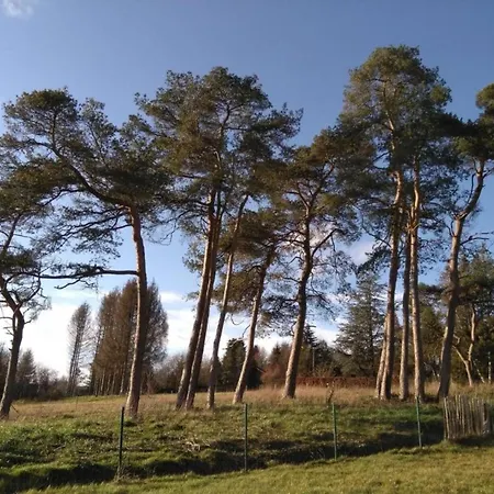 W Fireplace & Garden Appartement