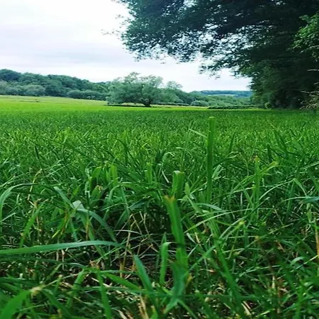 W Fireplace & Garden *